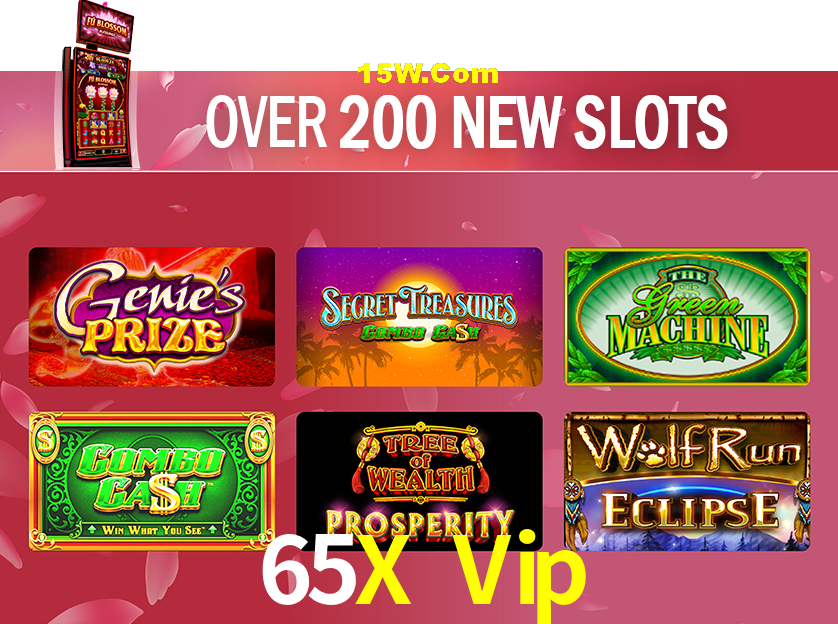 Statistics 65X Vip