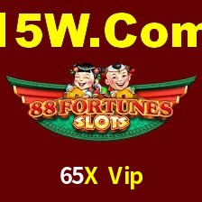 Programa VIP 65X Vip