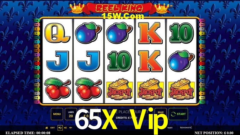 2FA Security 65X Vip