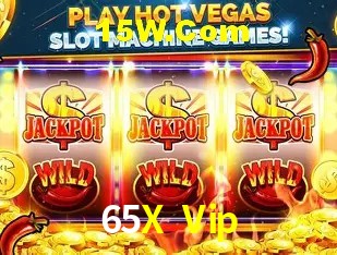 Ofertas Exclusivas 65X Vip