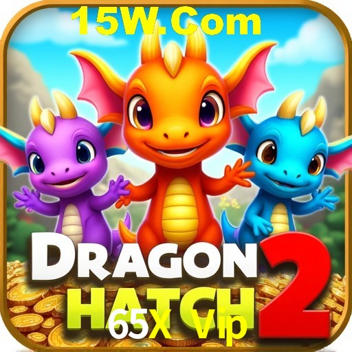 Exclusive Offers 65X Vip