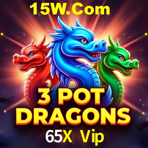 API Integration 65X Vip